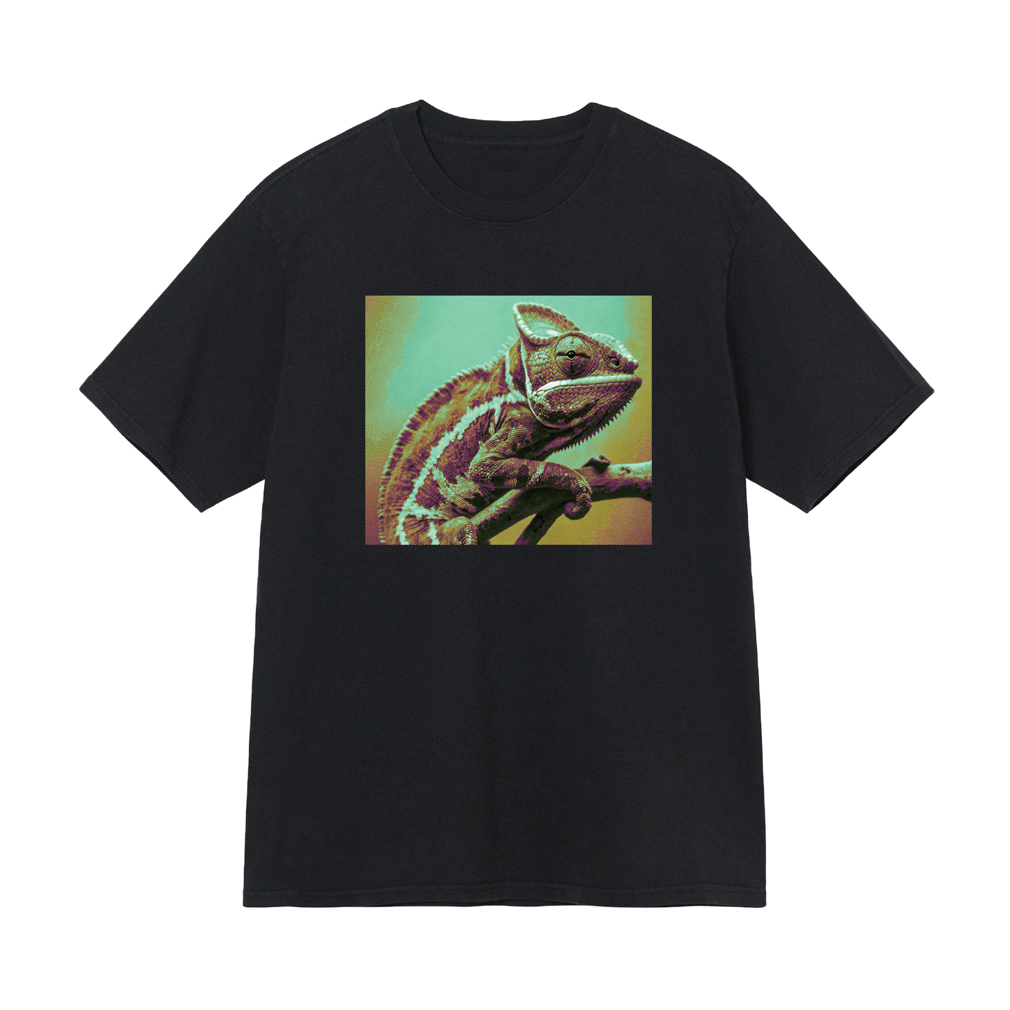 Framed Chameleon Tee