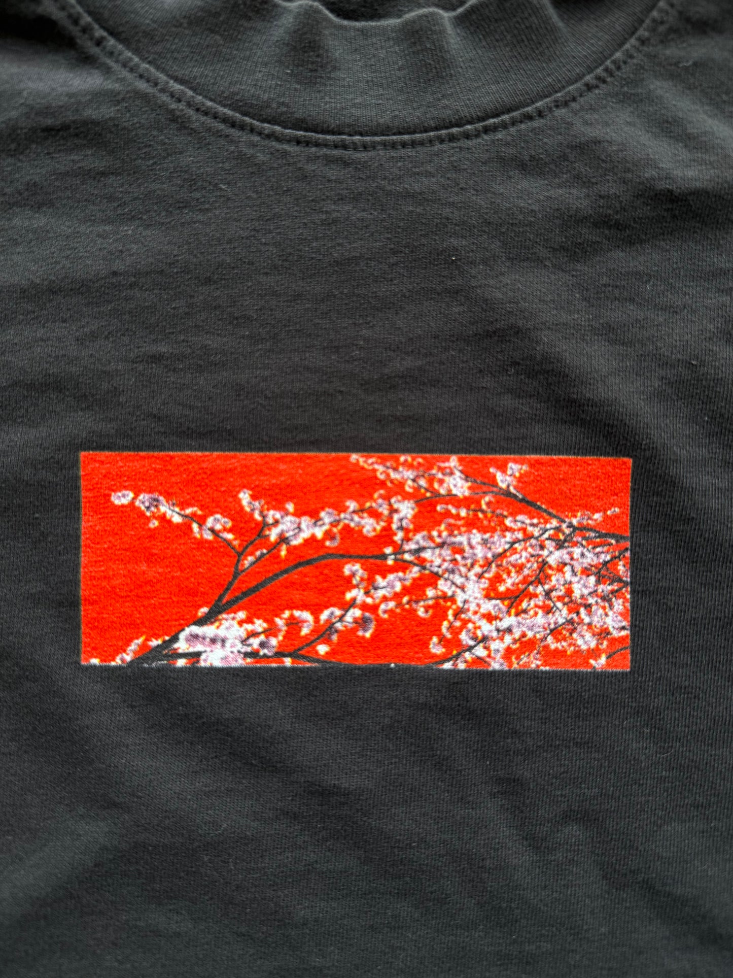 Cherry Blossom Box Tee