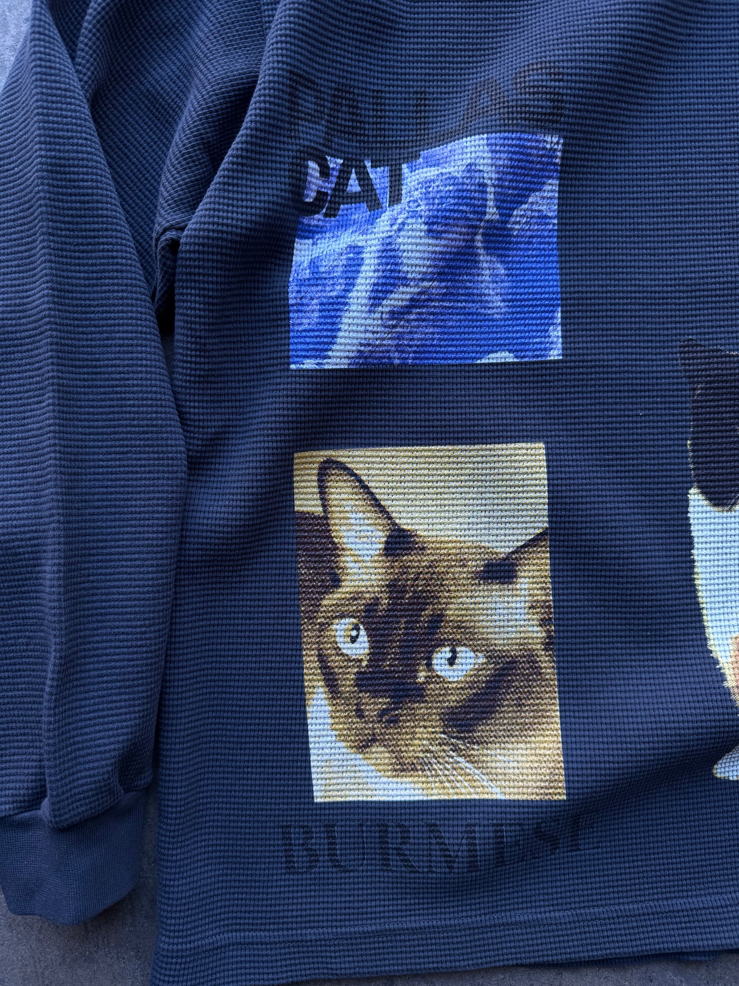 Cat Thermal