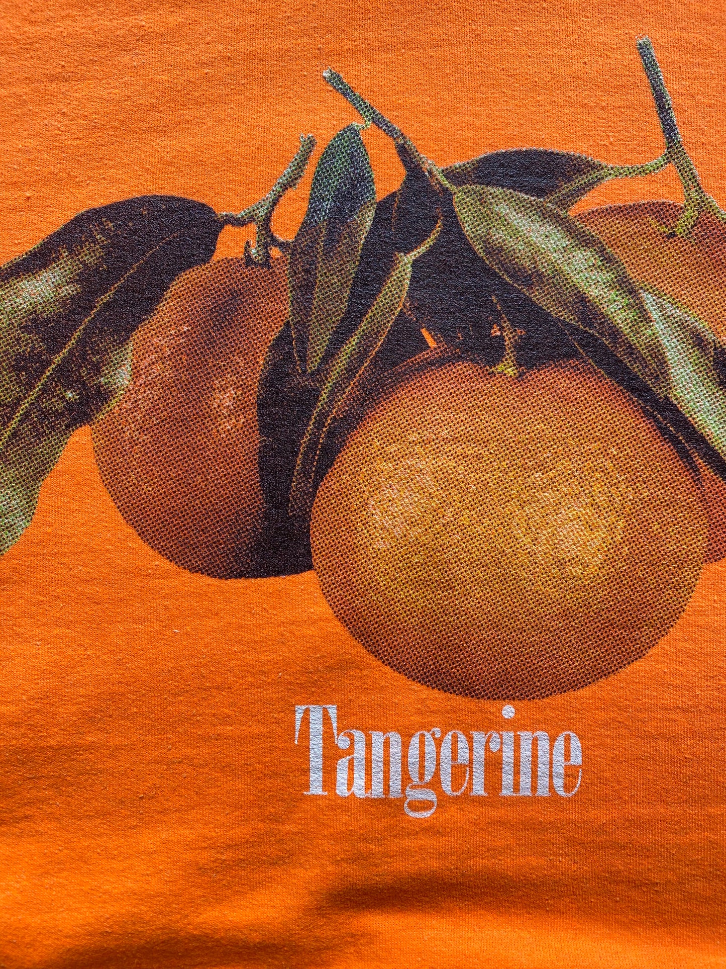Tangerines v1 Hoodie