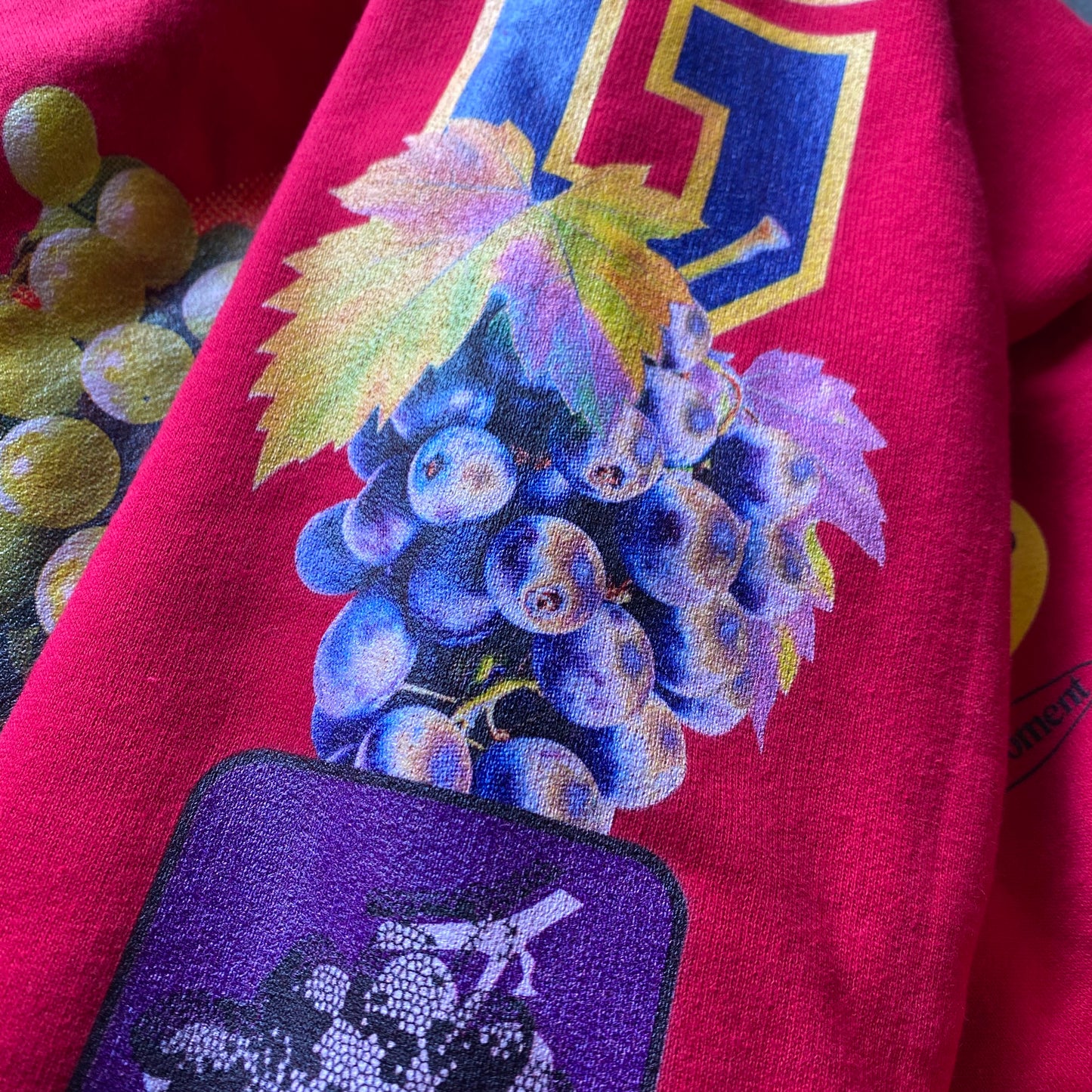 Grapes v2 Hoodie