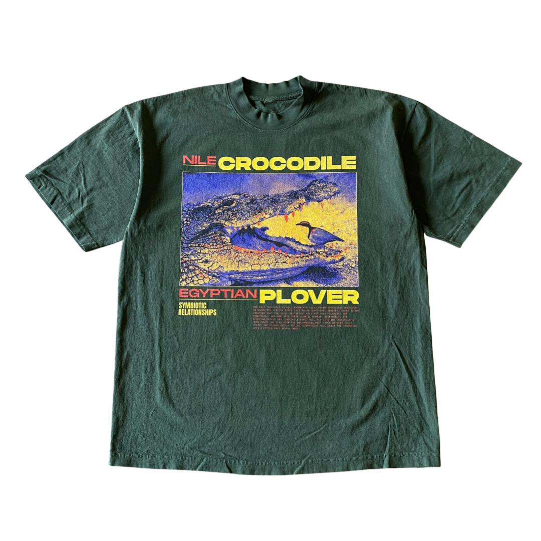 T-shirt crocodile et pluvier v1