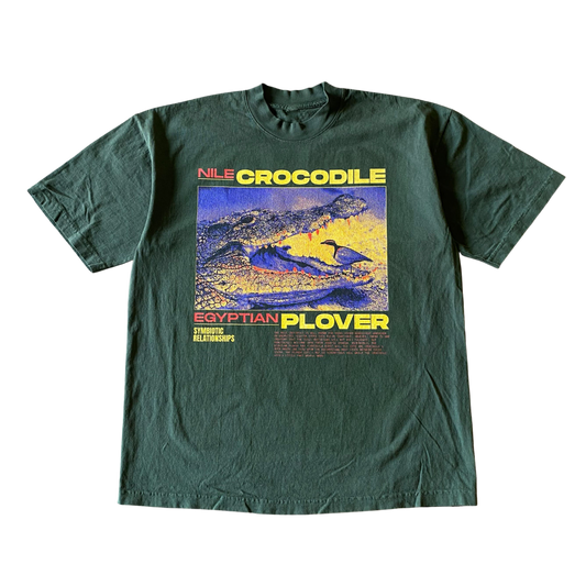 T-shirt crocodile et pluvier v1