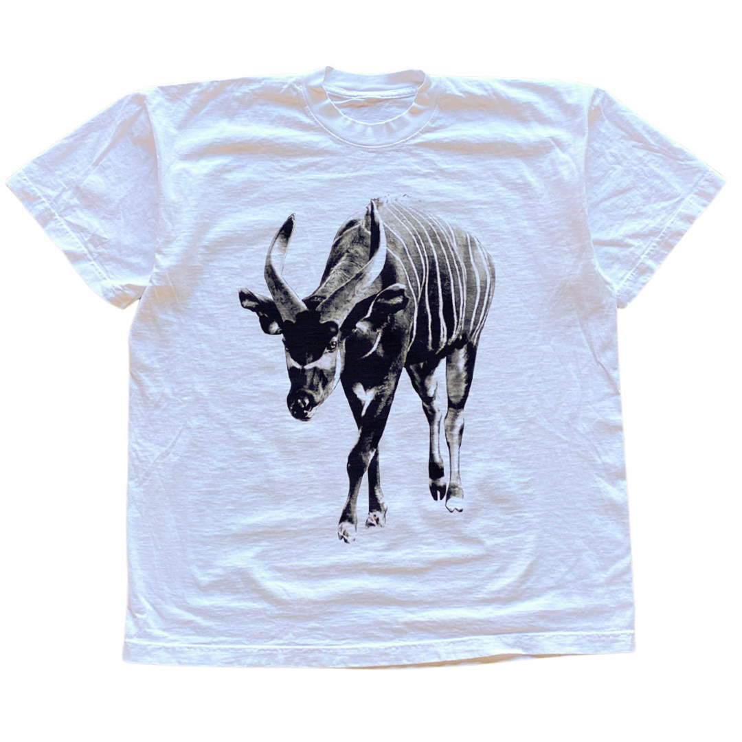 Bongo Antelope v2 Tee