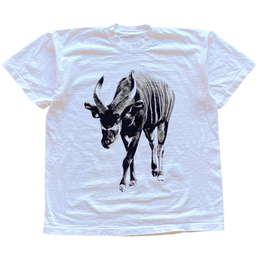 Bongo Antelope v2 Tee