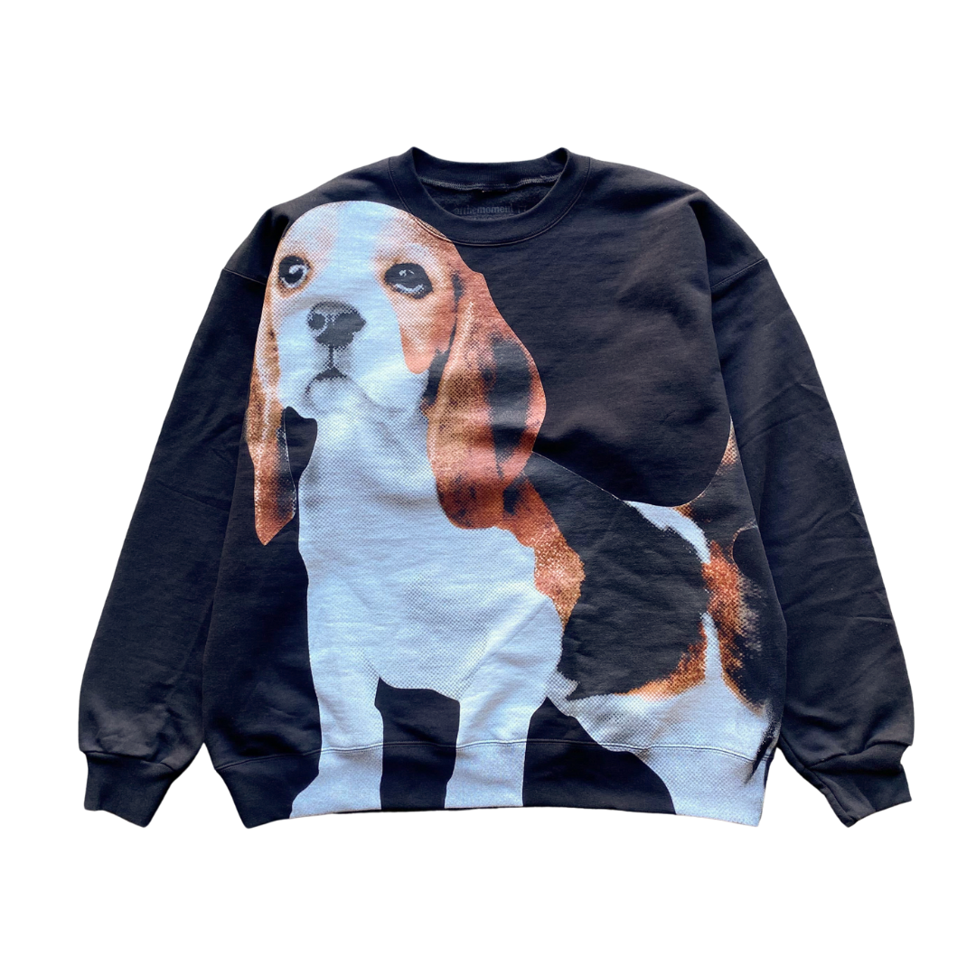 Big Beagle Crewneck