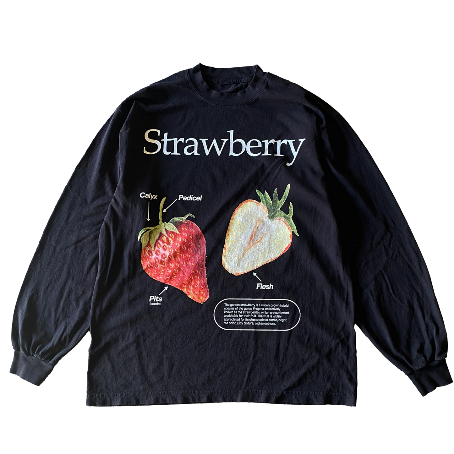 Strawberry v2 L/S