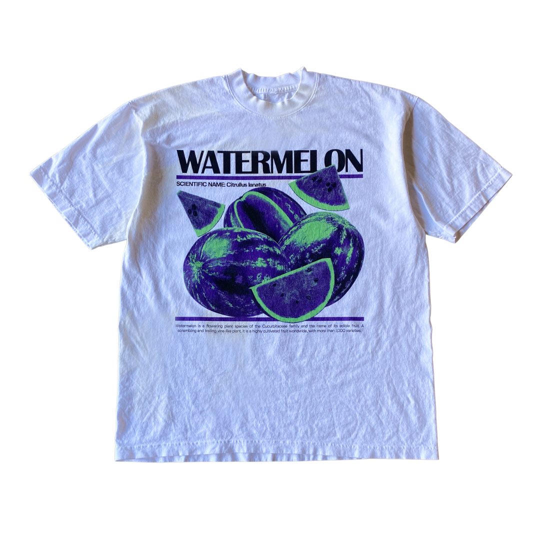 Wassermelone v3 T-Shirt