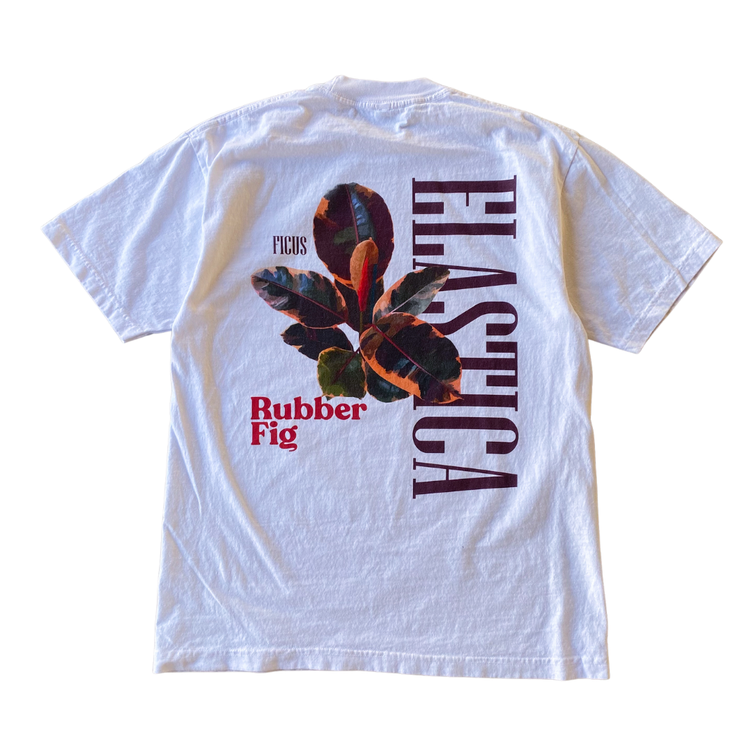 Rubber Fig Tee