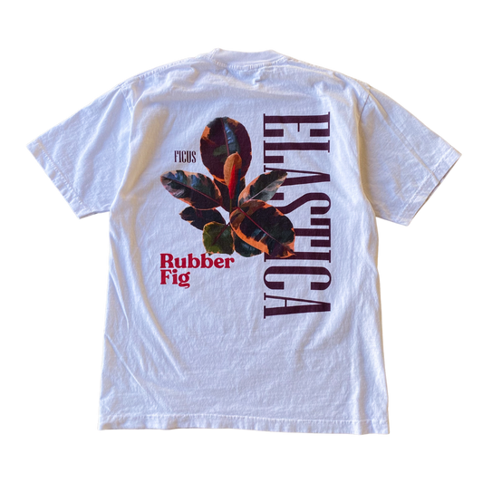 Rubber Fig Tee