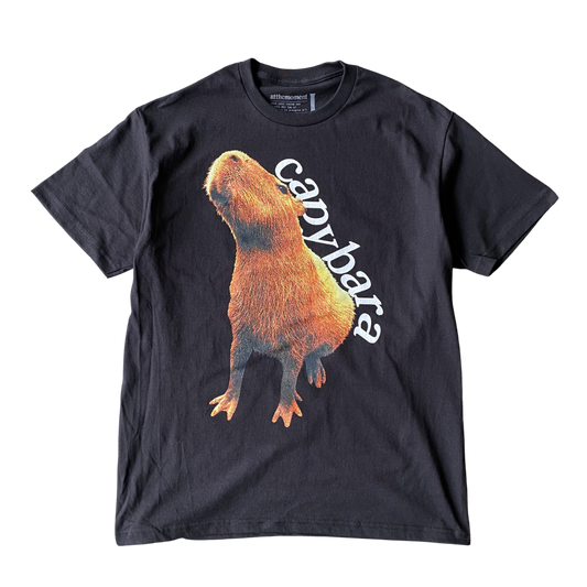 T-shirt extensible Capybara