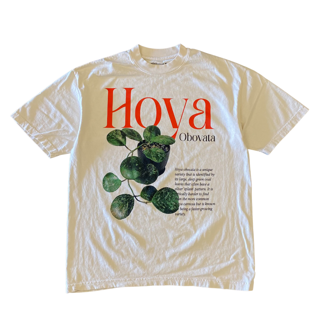 Hoya Obovata Tee
