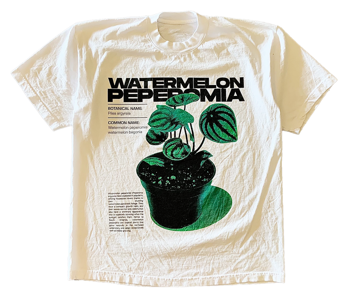 Wassermelonen-Peperomia-T-Shirt