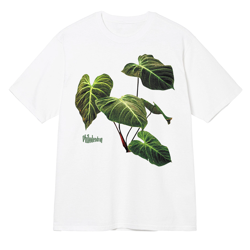 T-shirt Philodendron v2